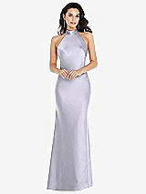 Front View Thumbnail - Silver Dove Scarf Tie High-Neck Halter Maxi Slip Dress