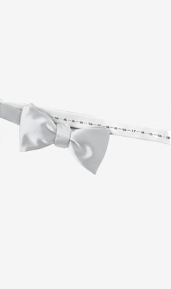 Back View - Frost Matte Satin Bow Ties by After Six
