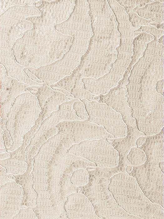 Classic Lace Fabric by the 1/2 Yard