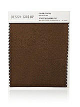 Front View Thumbnail - Latte Stretch Charmeuse Swatch