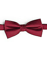 Side View Thumbnail - Burgundy Classic Yarn-Dyed Bow Ties by After Six