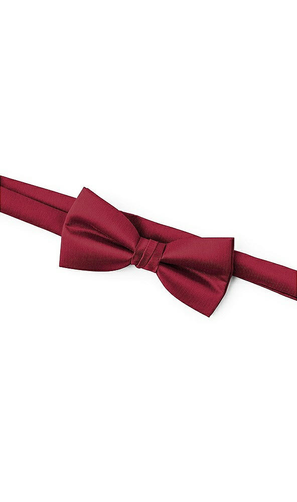 Back View - Burgundy Classic Yarn-Dyed Bow Ties by After Six