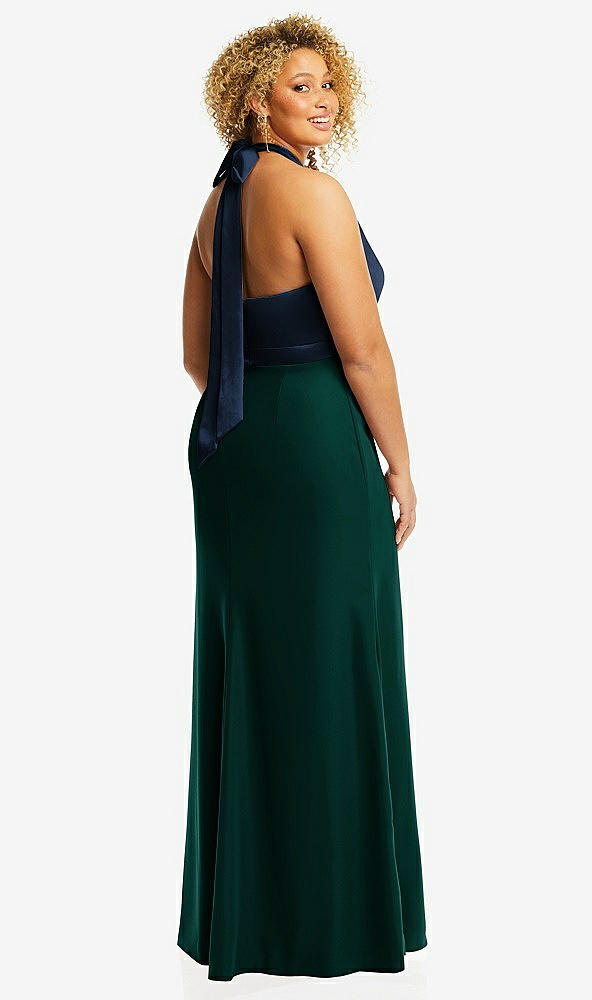 Back View - Evergreen & Midnight Navy High-Neck Open-Back Maxi Dress with Scarf Tie