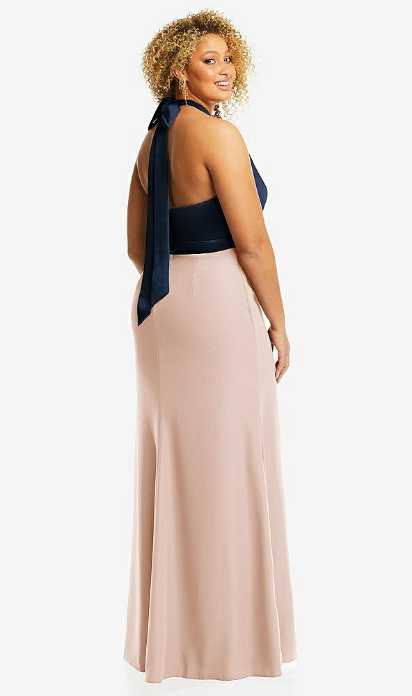 Back View - Cameo & Midnight Navy High-Neck Open-Back Maxi Dress with Scarf Tie