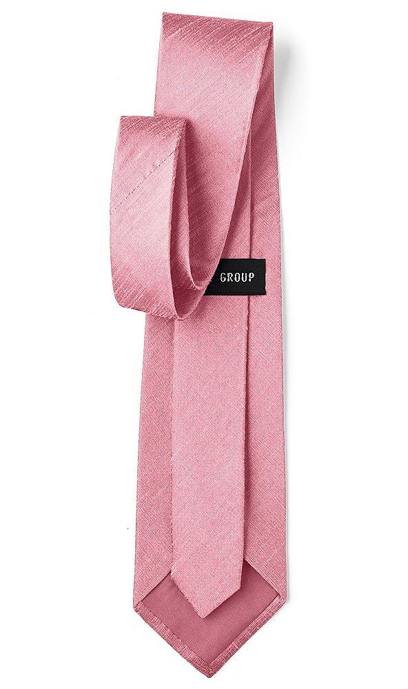 Back View - Carnation Dupioni Boy's 50" Necktie by After Six