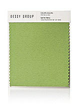 Front View Thumbnail - Mojito Satin Twill Swatch