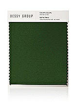 Front View Thumbnail - Celtic Satin Twill Swatch
