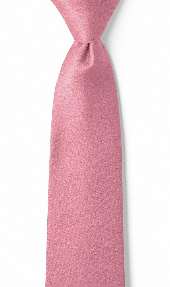 Front View - Carnation Matte Satin Boy's 14" Zip Necktie by After Six