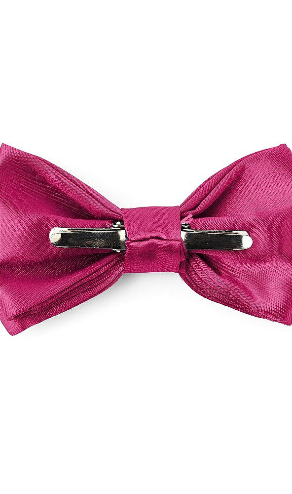 Back View - Tutti Frutti Matte Satin Boy's Clip Bow Tie by After Six