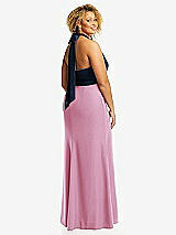 Rear View Thumbnail - Powder Pink & Midnight Navy High-Neck Open-Back Maxi Dress with Scarf Tie