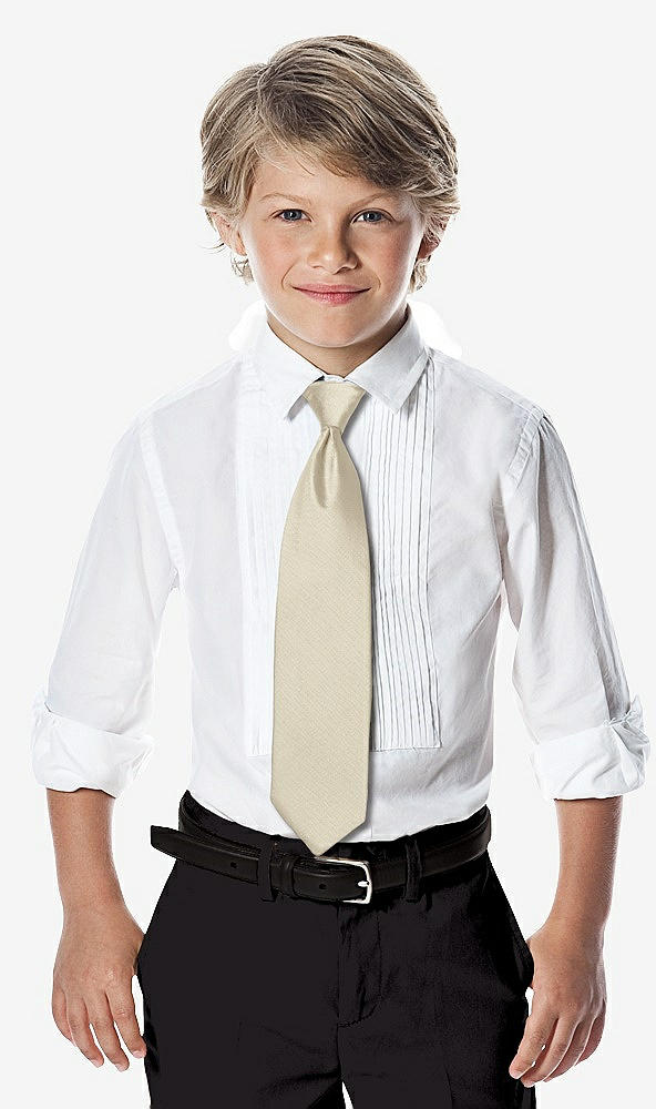 Yarn-dyed Boy's Slider Tie By After Six In Champagne | The Dessy Group