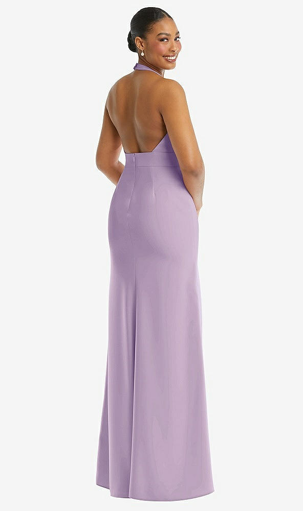 Back View - Pale Purple Plunge Neck Halter Backless Trumpet Gown with Front Slit