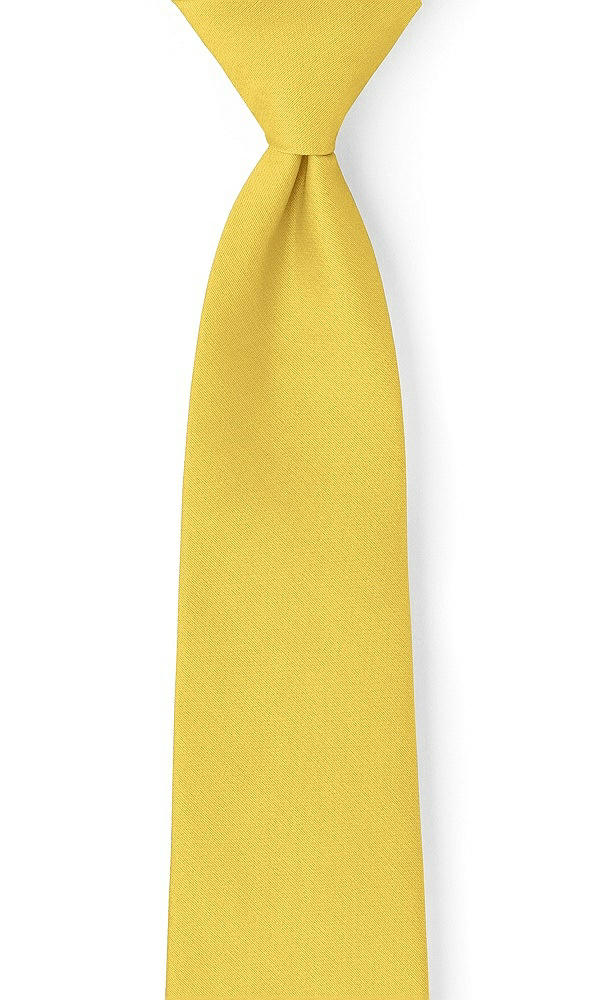 Front View - Daffodil Peau de Soie Neckties by After Six