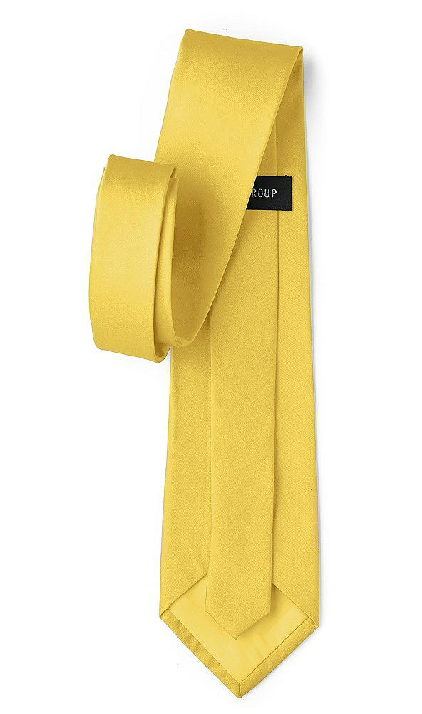 Back View - Daffodil Peau de Soie Neckties by After Six
