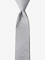 Front View Thumbnail - French Gray Peau de Soie Boy's 14" Zip Necktie by After Six