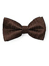 Front View Thumbnail - Brownie Dupioni Boy's Clip Bow Tie by After Six