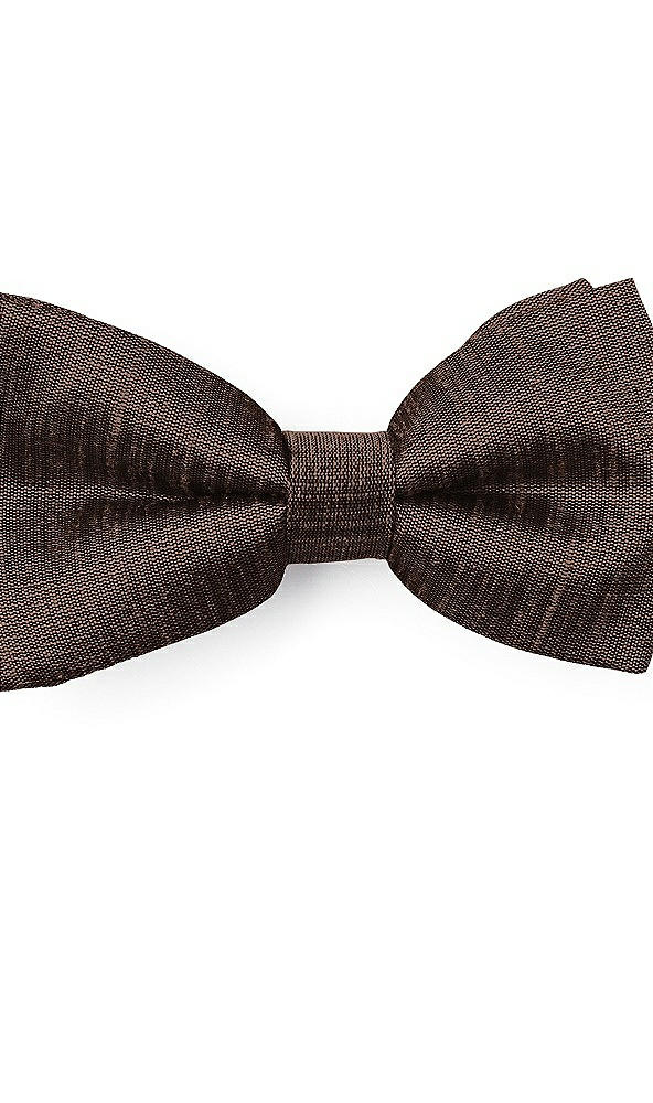 Front View - Brownie Dupioni Boy's Clip Bow Tie by After Six