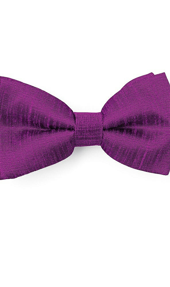 Front View - Dahlia Dupioni Boy's Clip Bow Tie by After Six