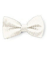 Front View Thumbnail - Ivory Dupioni Boy's Clip Bow Tie by After Six