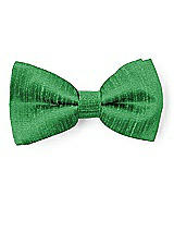 Front View Thumbnail - Ivy Dupioni Boy's Clip Bow Tie by After Six