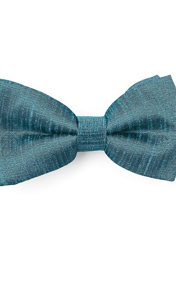 Front View - Niagara Dupioni Boy's Clip Bow Tie by After Six