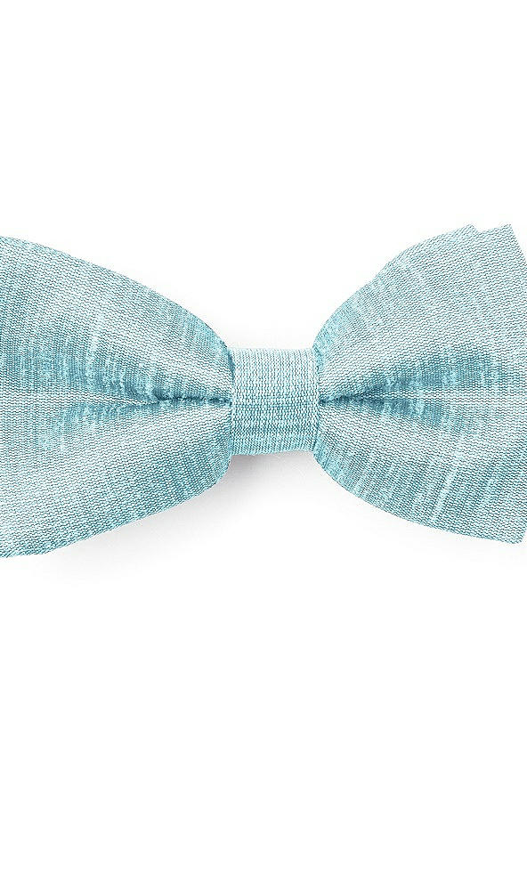 Front View - Skylark Dupioni Boy's Clip Bow Tie by After Six