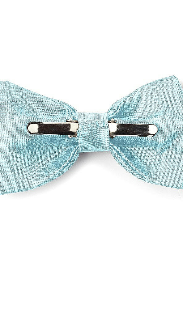 Back View - Skylark Dupioni Boy's Clip Bow Tie by After Six
