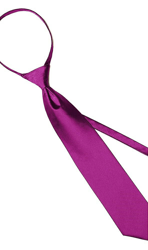 Back View - Persian Plum Aries Slider Ties by After Six
