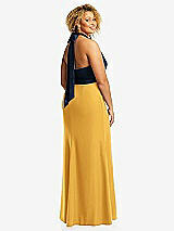 Rear View Thumbnail - NYC Yellow & Midnight Navy High-Neck Open-Back Maxi Dress with Scarf Tie