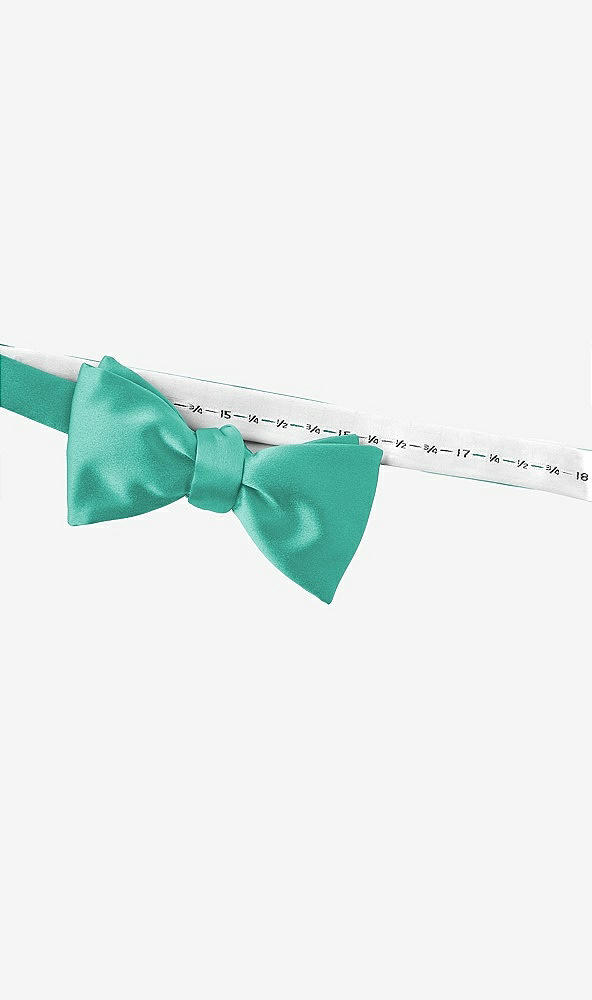 Back View - Pantone Turquoise Matte Satin Bow Ties by After Six