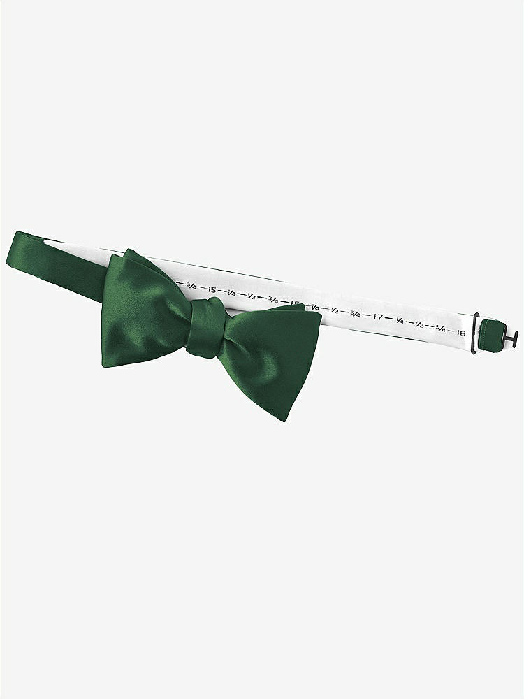 Back View - Hampton Green Matte Satin Bow Ties by After Six