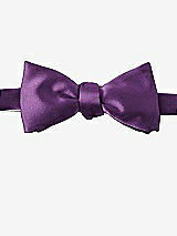 Front View Thumbnail - African Violet Matte Satin Bow Ties by After Six