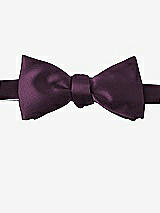 Front View Thumbnail - Aubergine Matte Satin Bow Ties by After Six