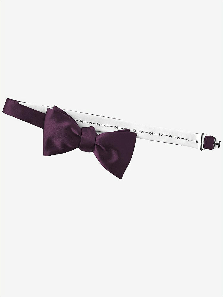 Back View - Aubergine Matte Satin Bow Ties by After Six