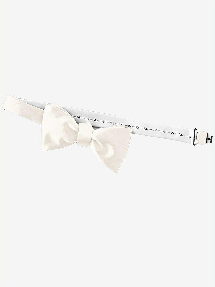 Back View - Ivory Matte Satin Bow Ties by After Six