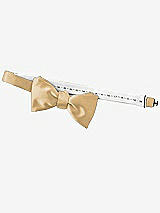 Rear View Thumbnail - Venetian Gold Matte Satin Bow Ties by After Six