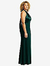 Side View Thumbnail - Evergreen & Evergreen High-Neck Open-Back Maxi Dress with Scarf Tie