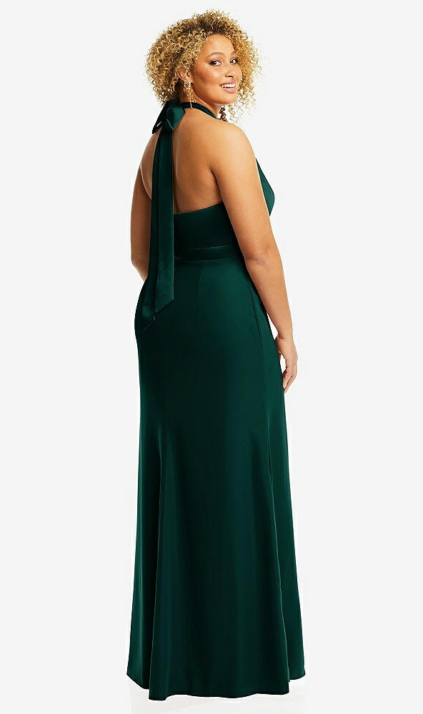 Back View - Evergreen & Evergreen High-Neck Open-Back Maxi Dress with Scarf Tie