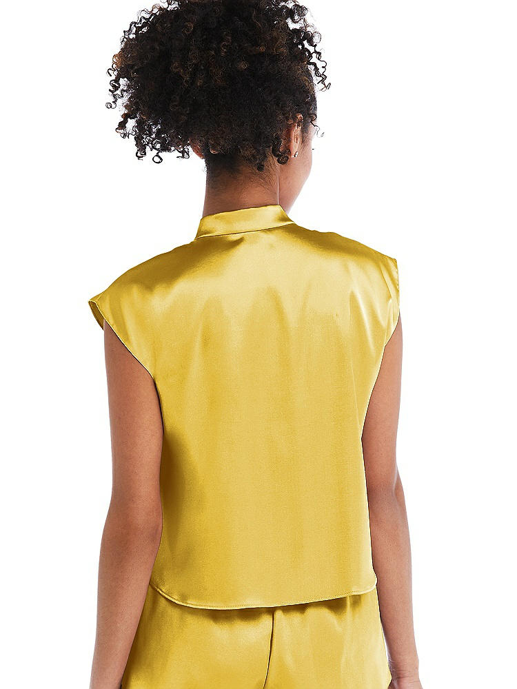 Back View - Marigold Satin Stand Collar Tie-Front Pullover Top - Remi