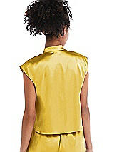 Rear View Thumbnail - Marigold Satin Stand Collar Tie-Front Pullover Top - Remi