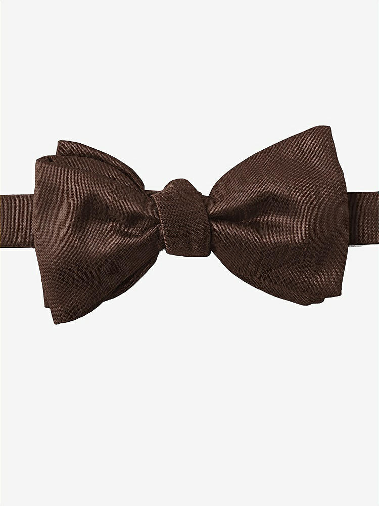 Front View - Brownie Dupioni Bow Ties by After Six