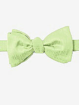 Front View Thumbnail - Pistachio Dupioni Bow Ties by After Six