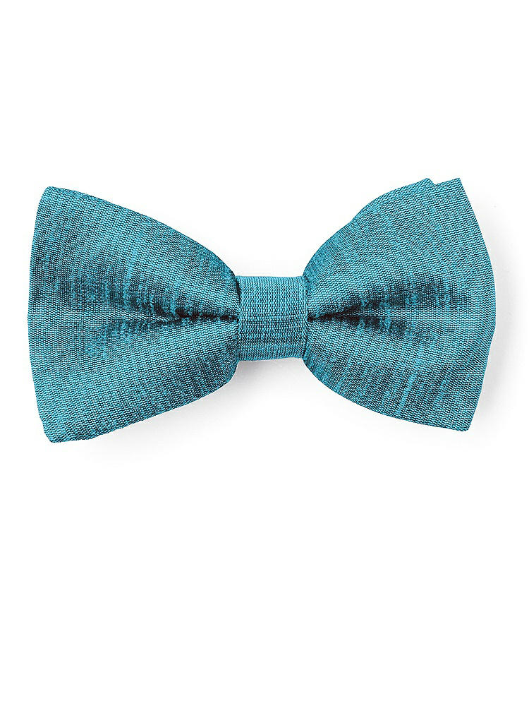 Front View - Fusion Dupioni Boy's Clip Bow Tie by After Six