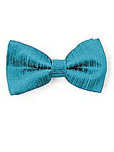 Front View Thumbnail - Fusion Dupioni Boy's Clip Bow Tie by After Six