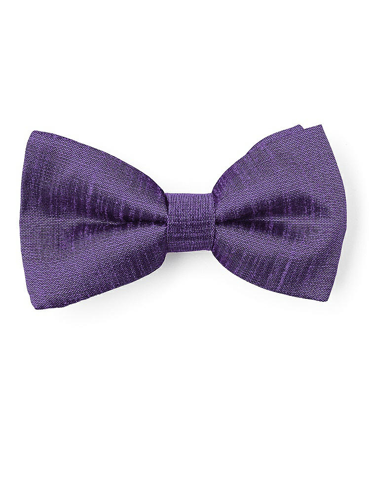 Front View - Majestic Dupioni Boy's Clip Bow Tie by After Six