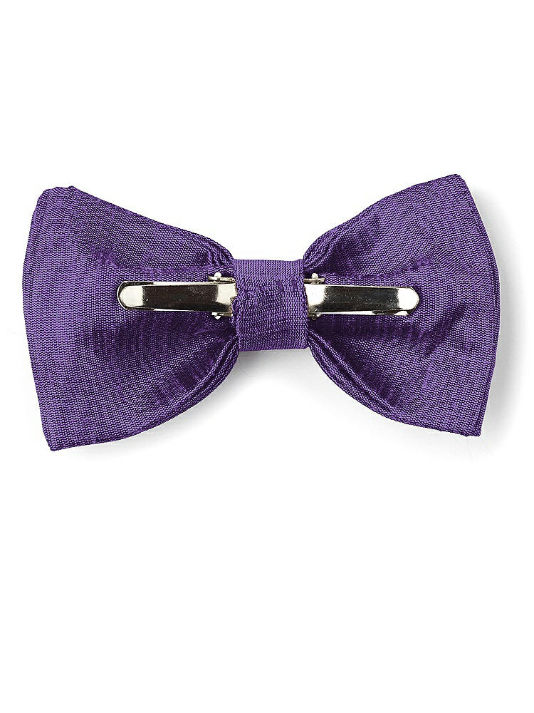 Back View - Majestic Dupioni Boy's Clip Bow Tie by After Six