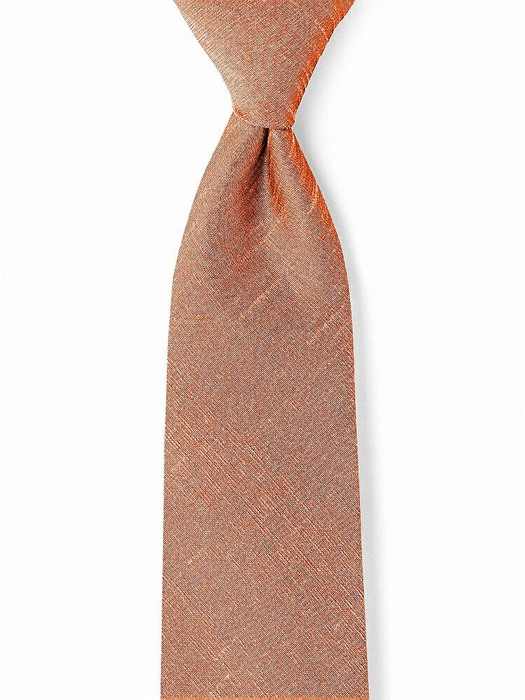 Front View - Mandarin Dupioni Boy's 50" Necktie by After Six
