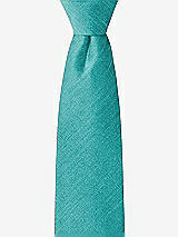 Front View Thumbnail - Azure Dupioni Boy's 14" Zip Necktie by After Six