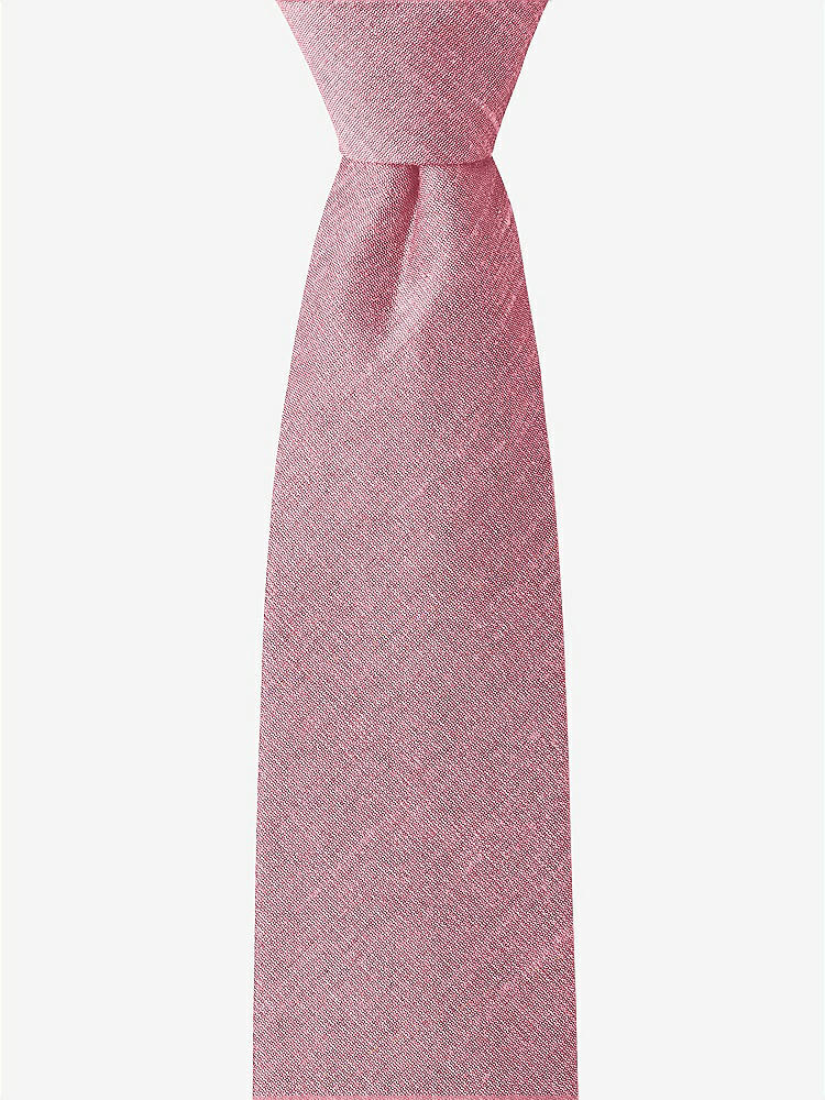 Front View - Carnation Dupioni Boy's 14" Zip Necktie by After Six
