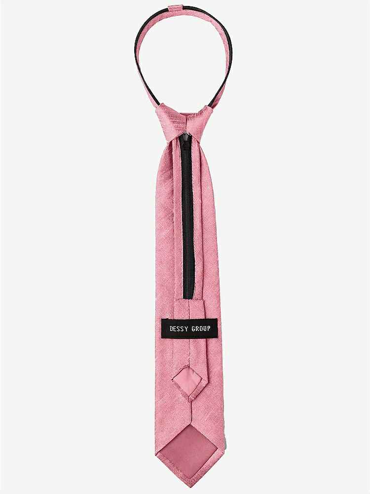 Back View - Carnation Dupioni Boy's 14" Zip Necktie by After Six